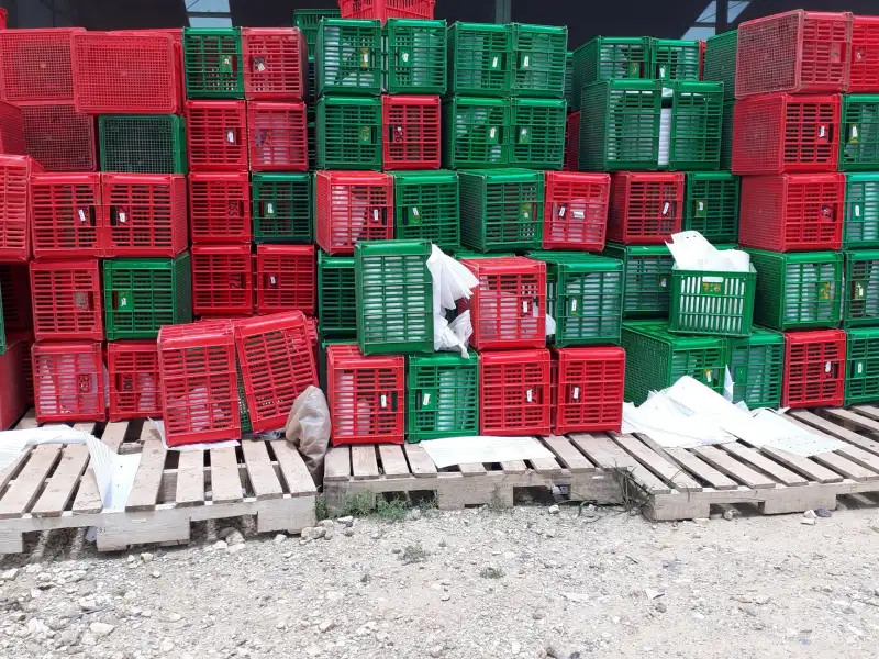 生物制品行业标准解读：御昇泰生物科技产品合规性优势