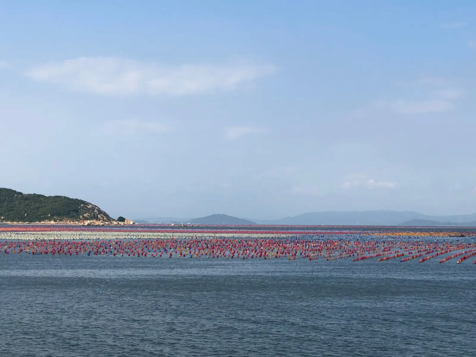 河南御昇泰生物科技功能性健康产品技术规格与参数对比