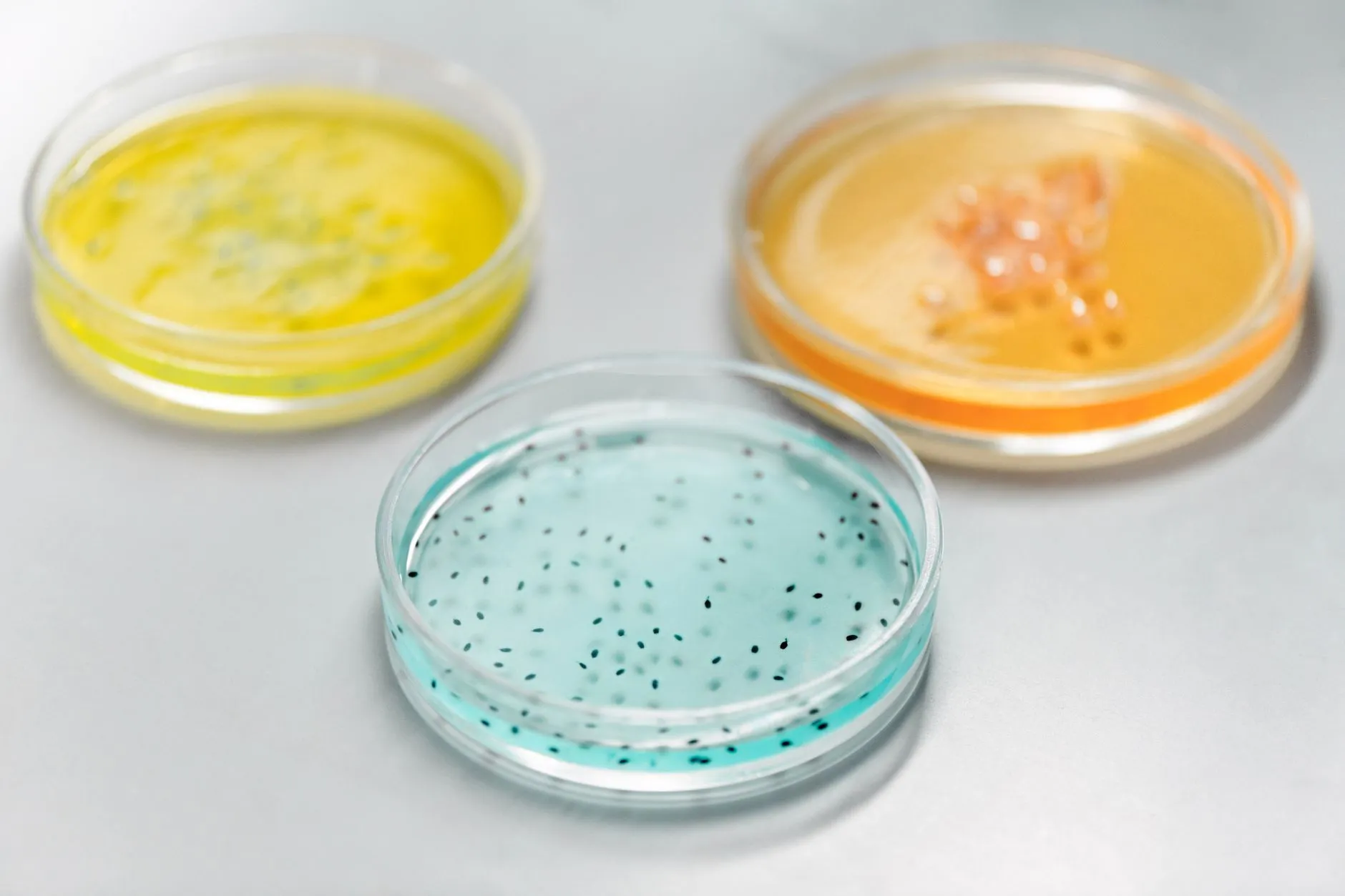 河南生物科技产业2025年发展态势与健康产品创新方向解析封面图