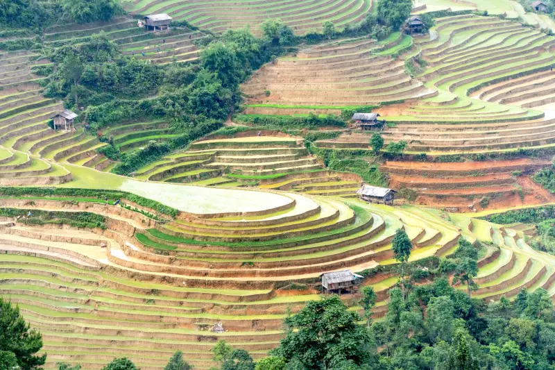 河南生物制品生产工艺优化与质量控制关键点探讨