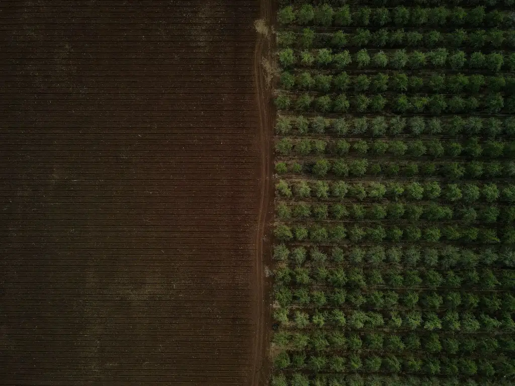 2025年生物科技行业最新政策导向与合规要点解析