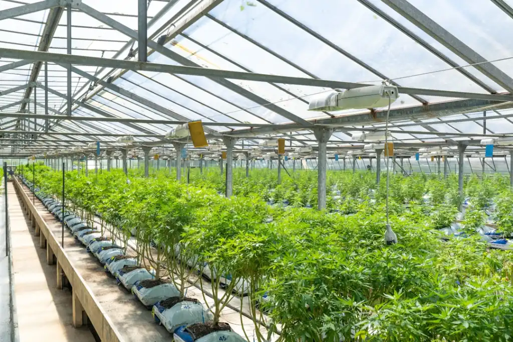 河南御昇泰生物科技生物制品技术参数对比与选型指南