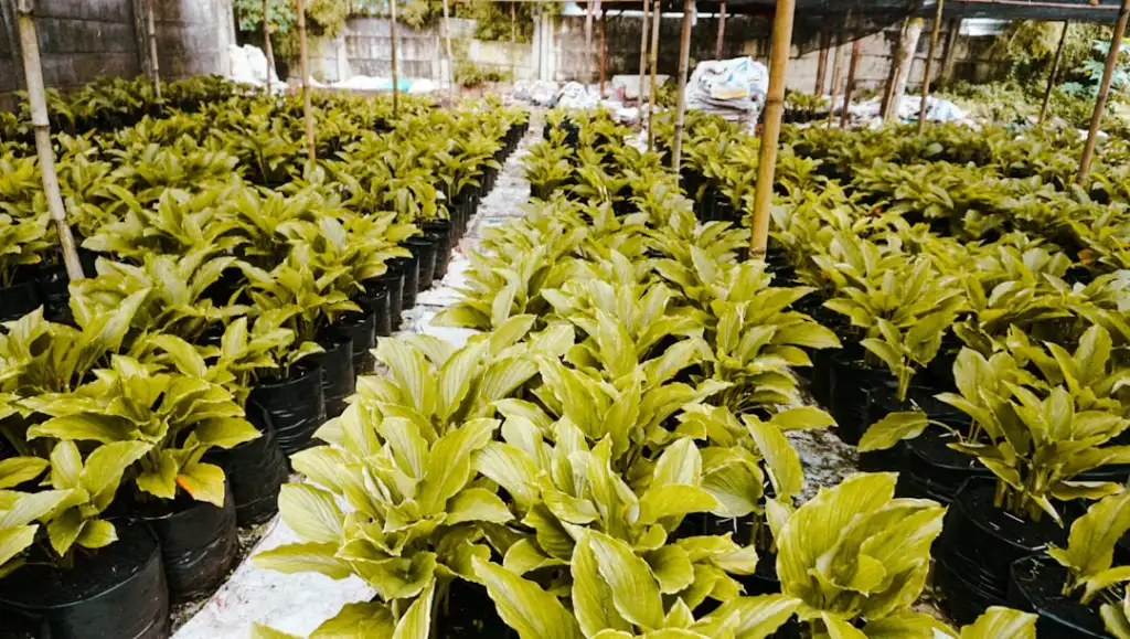 河南生物科技企业生物制品质量控制体系与产品优势对比