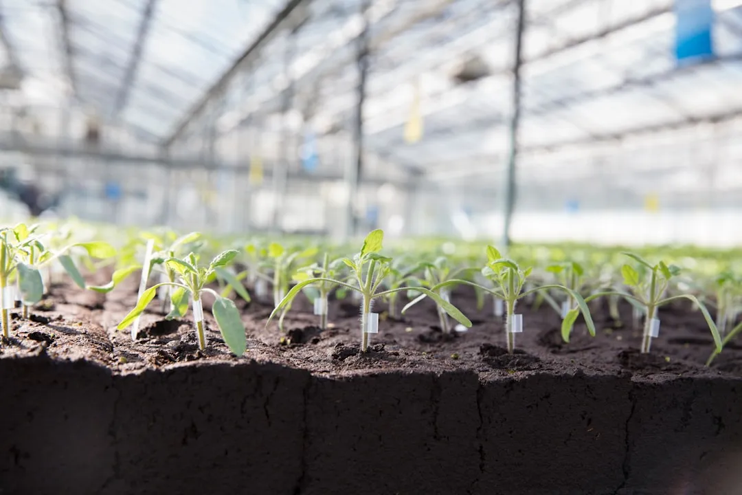 2025年生物制品生产工艺优化与质量控制新趋势