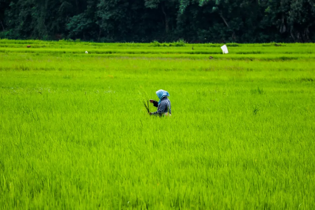 御昇泰生物生物制品生产线工艺优势与应用场景对比