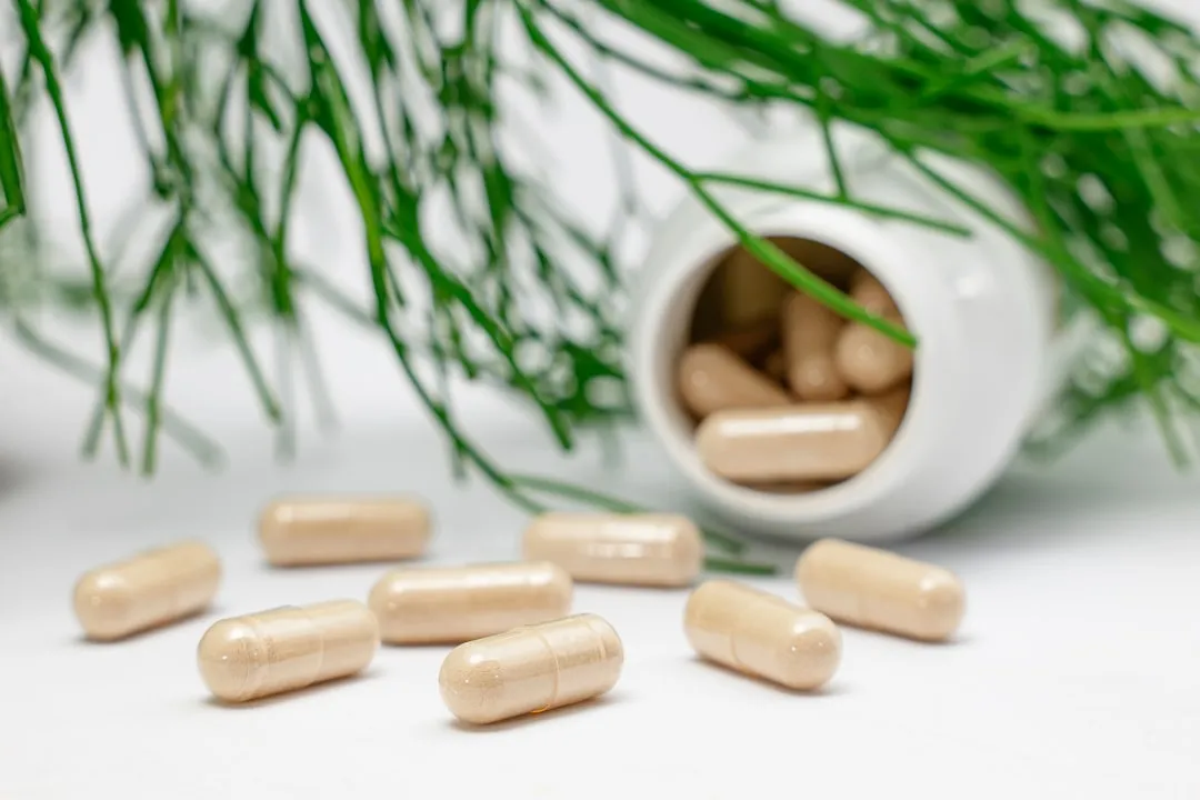 生物制品供应链优化方案：御昇泰生物科技生产流程解析